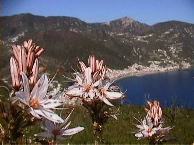 Casa Eolia _ Residenza Casa vacanze